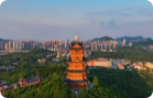 枣庄