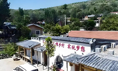 村志